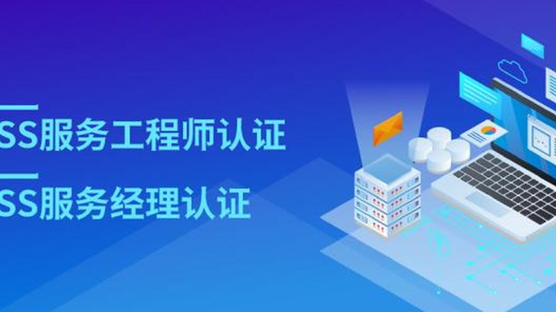 it咨询案例哪家强